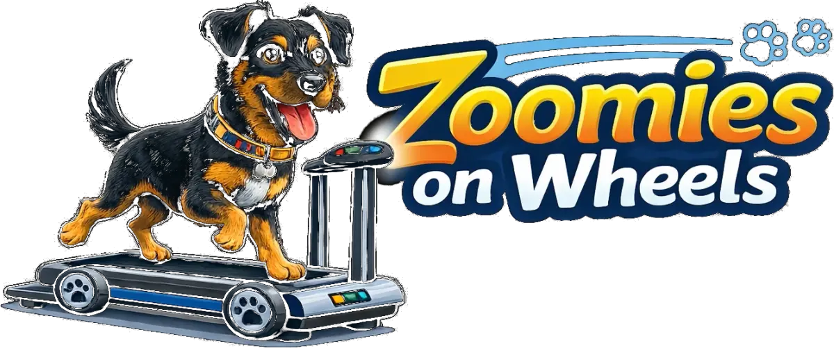 Zoomies on Wheels — mobile dog fitness