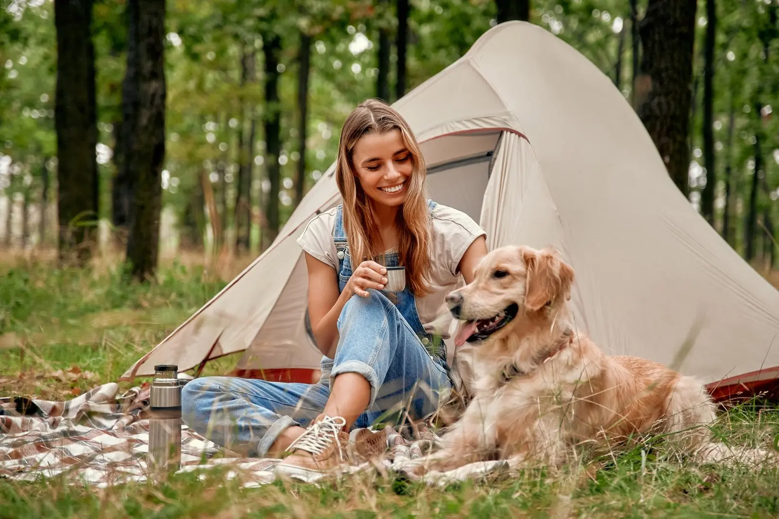 Dog weight management